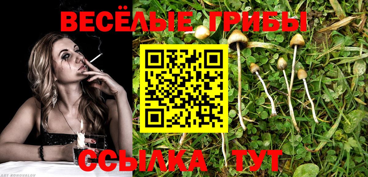 Псилоцибиновые грибы Psilocybine cubensis  Вход с VPN  Богородицк 