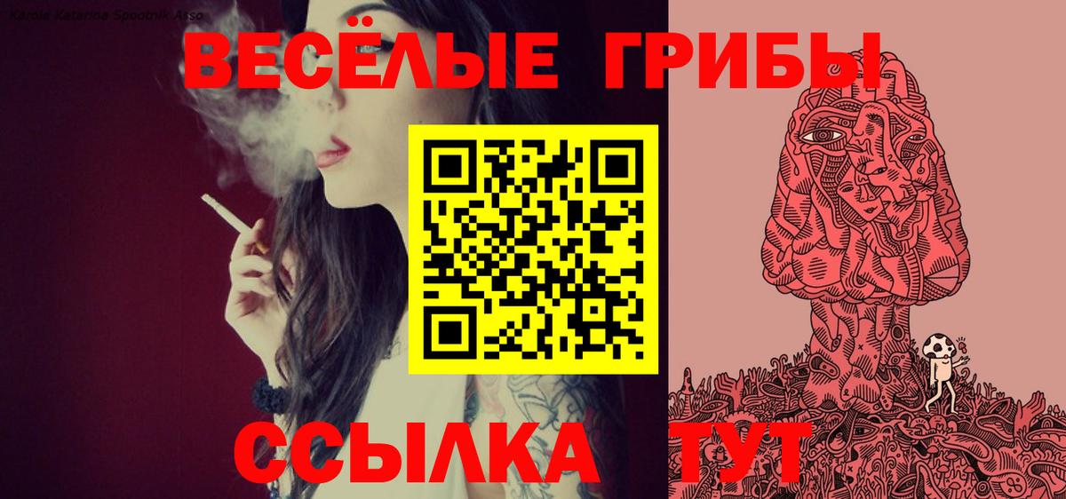 Галлюциногенные грибы мицелий Богородицк